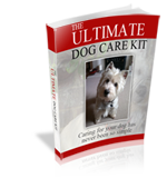 Discover the Secrets to Providing Optimal Care for Your Beloved Dog
